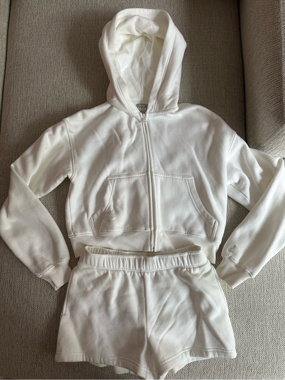Aritzia TNA Cozy Fleece Boyfriend Sweat Set
